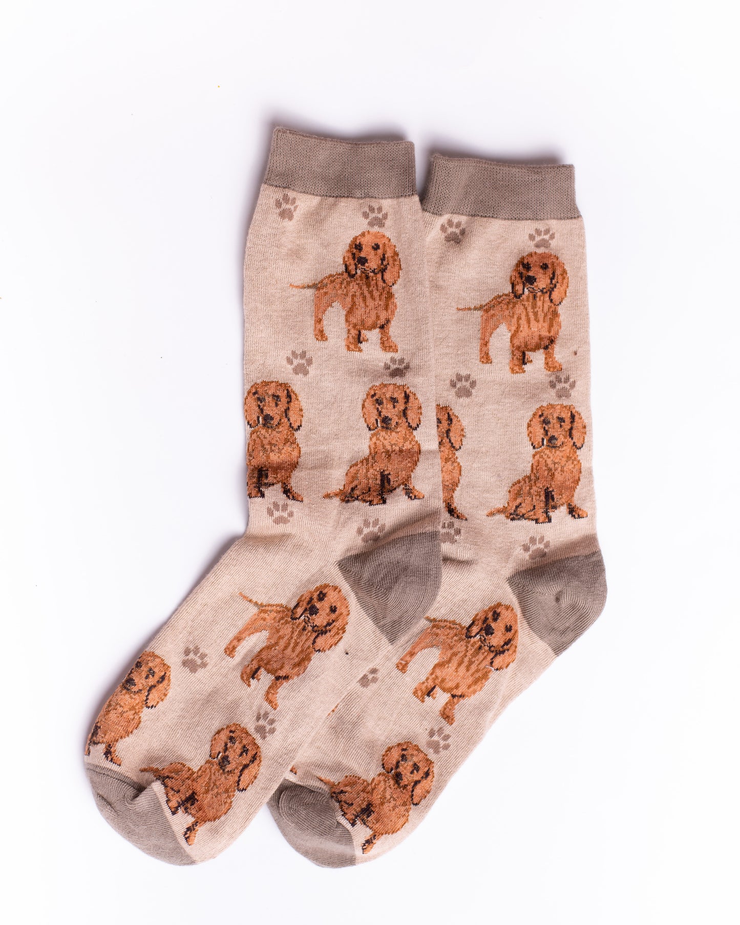 Brown Dog Funky Socks SN164