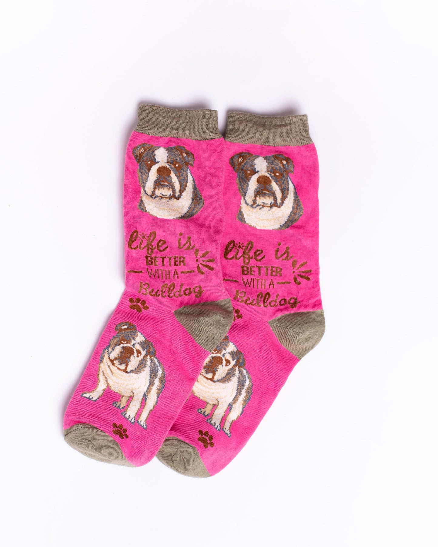 Bull Dog Funky Socks SN167