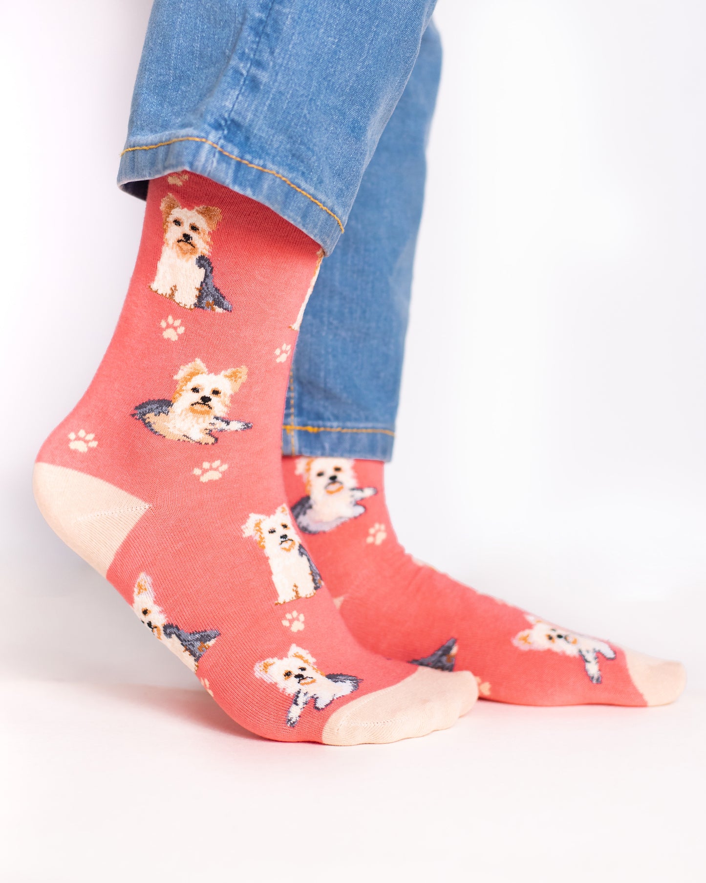 Lait Dog Funky Socks SN194