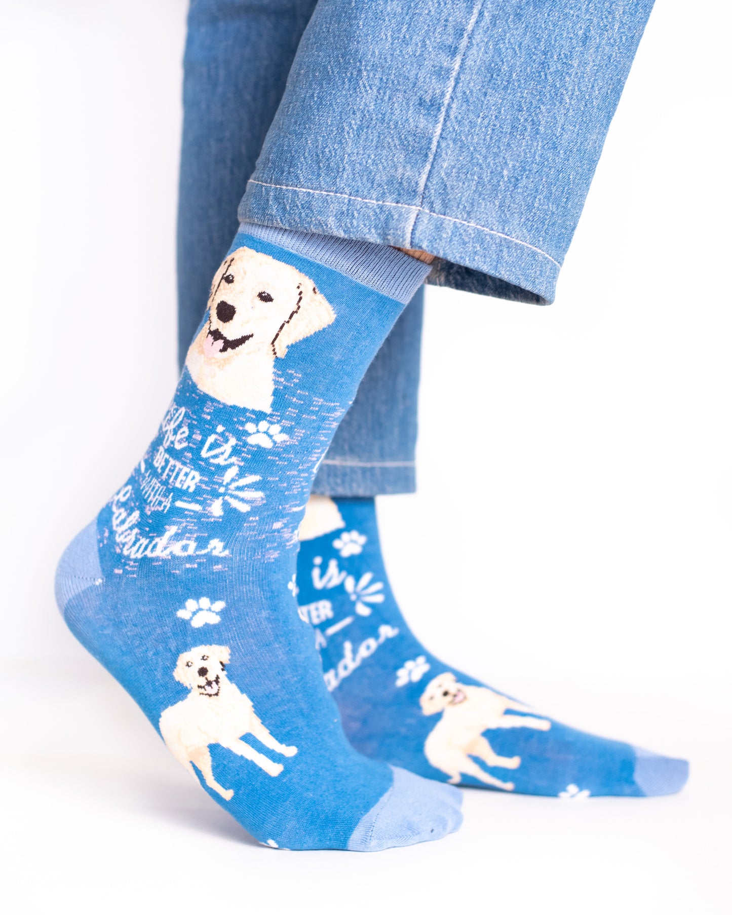 Lab Dog Funky Socks SN202