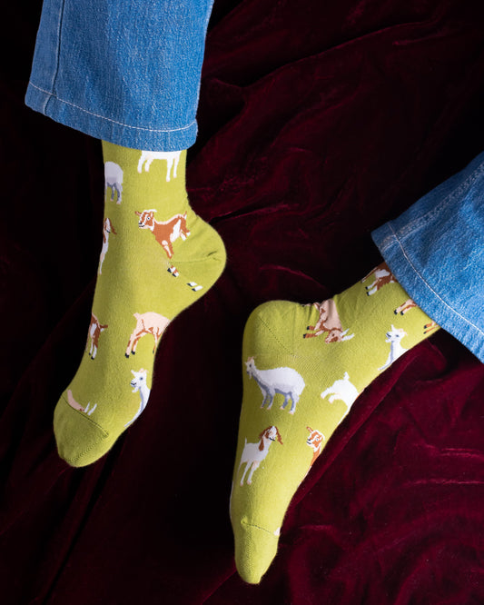 Best Funky Socks in Pakistan for Gen Z Fashion Lovers