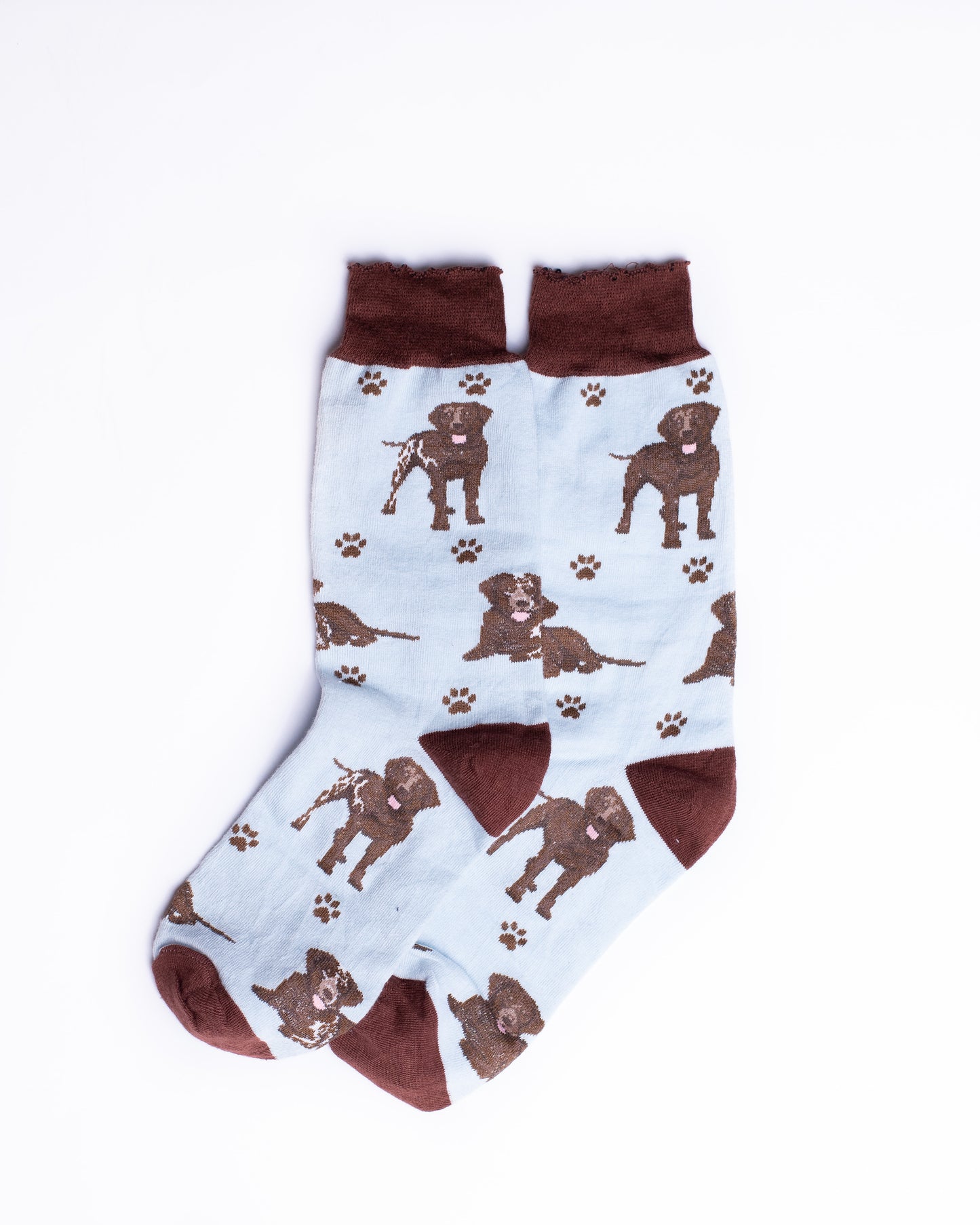 Sky Dog Funky Socks SN106