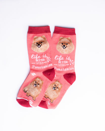 Pomeranian Funky Socks SN105