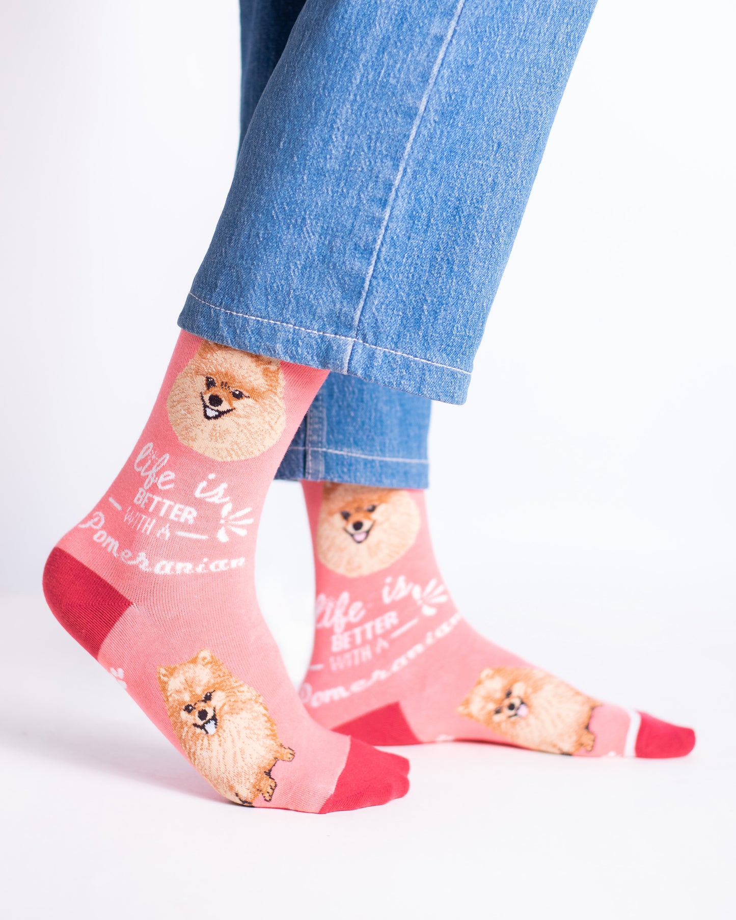 Pomeranian Funky Socks SN105
