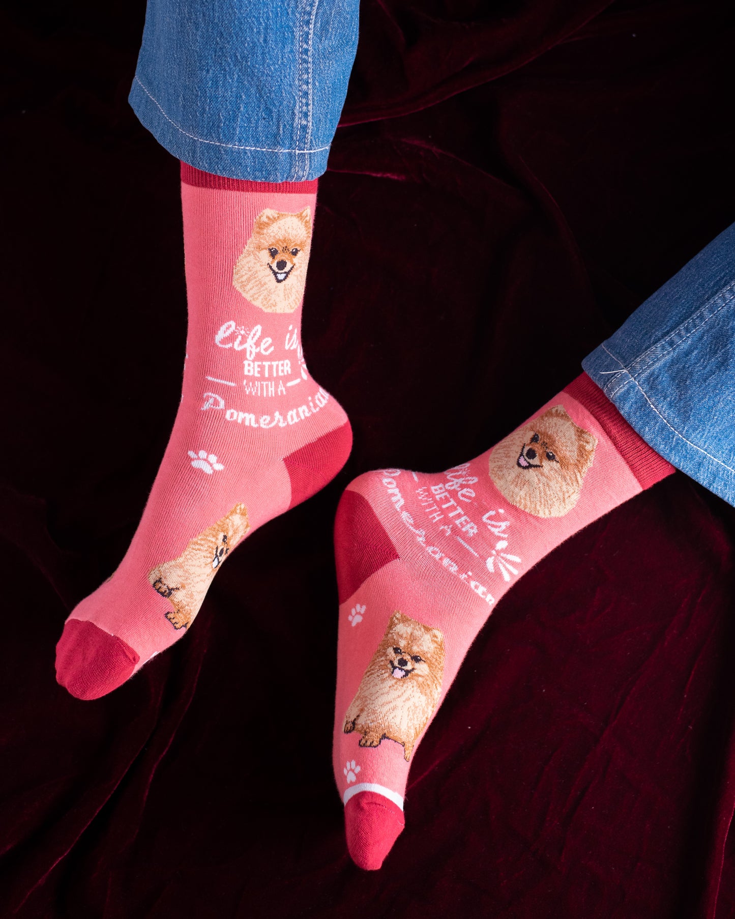 Pomeranian Funky Socks SN105