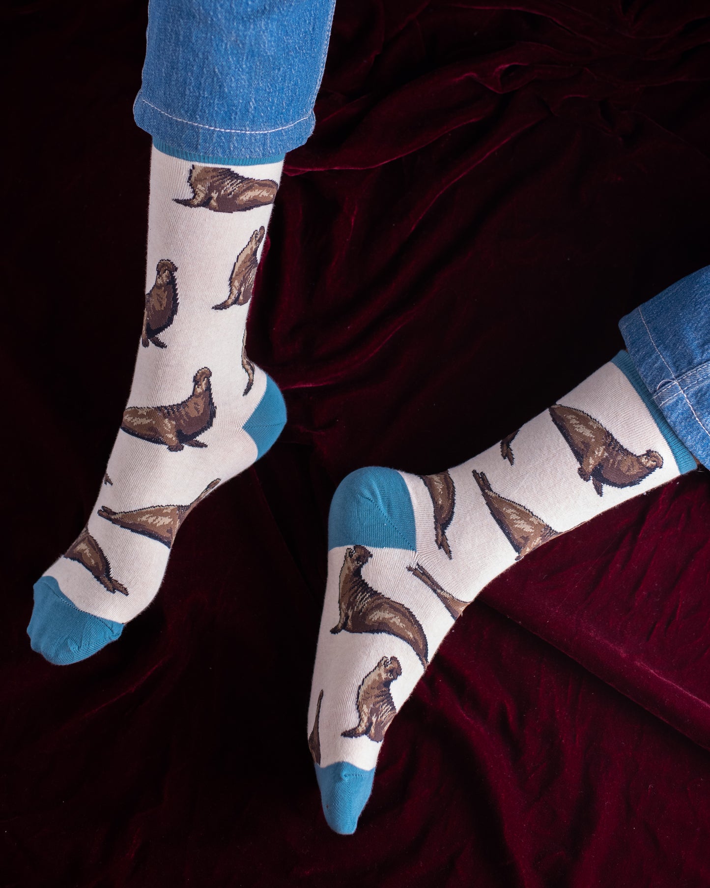 Seal Funky Socks SN103