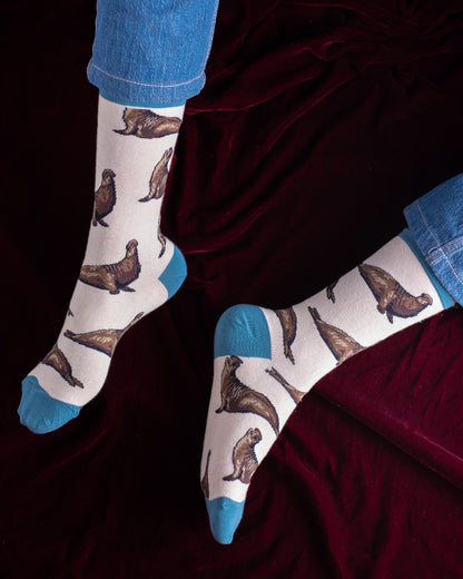 Seal Funky Socks SN103