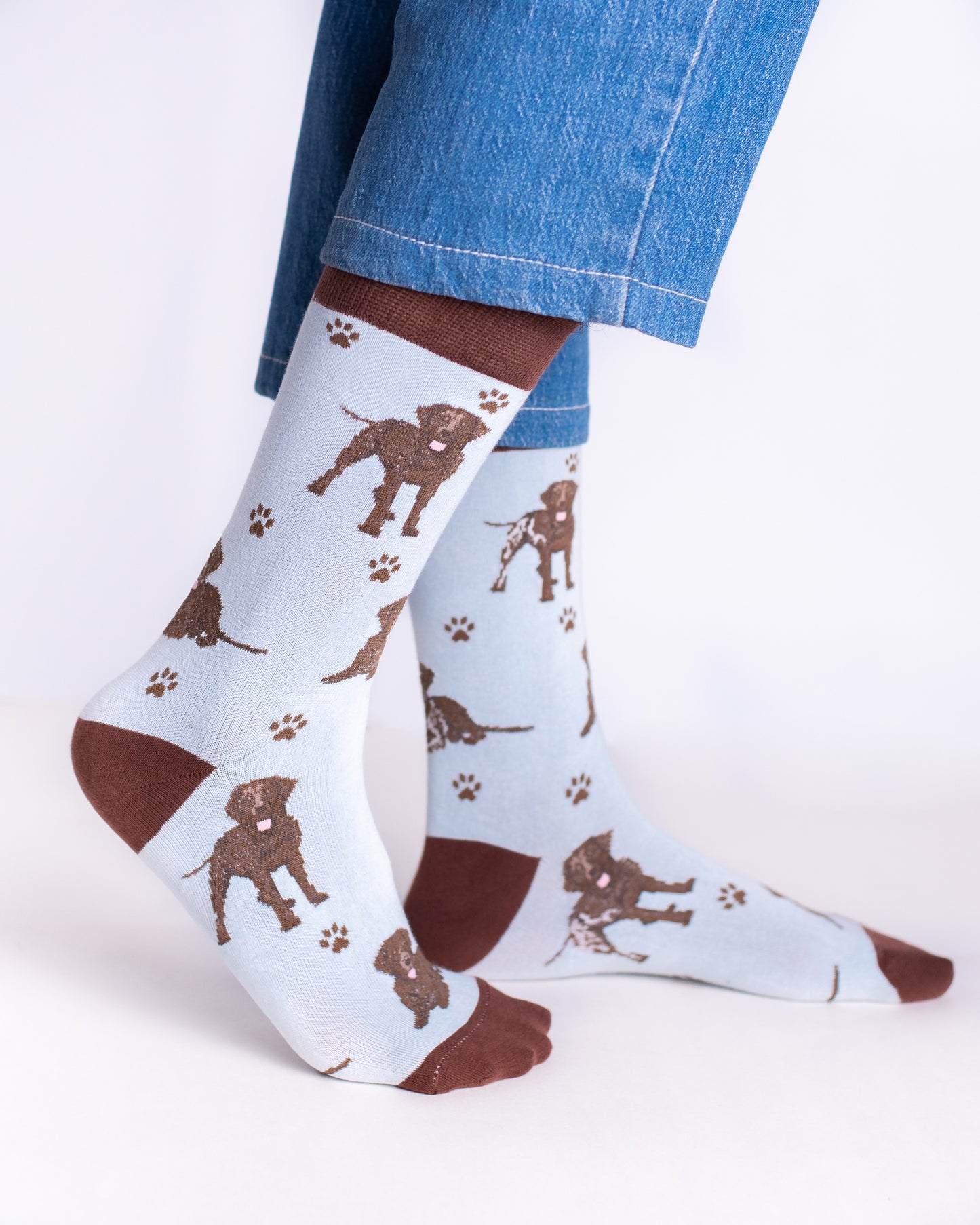 Sky Dog Funky Socks SN106