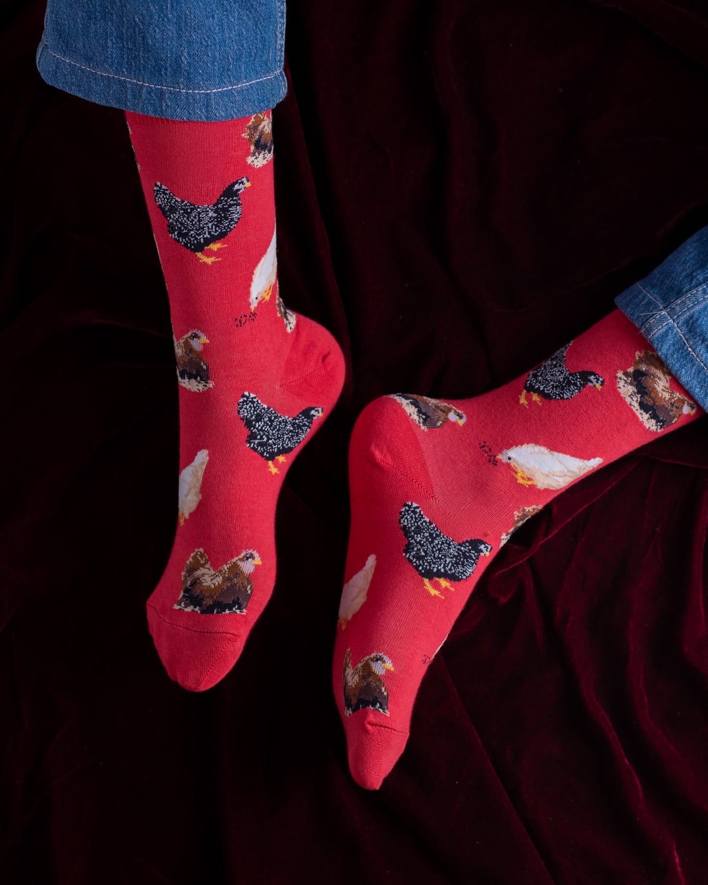 Red Chicken Funky Socks SN94