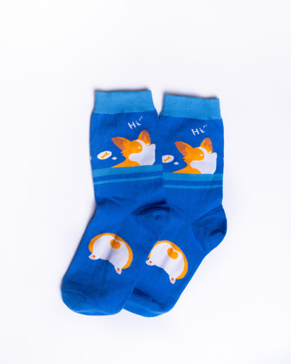 Hi Funky Socks SN118