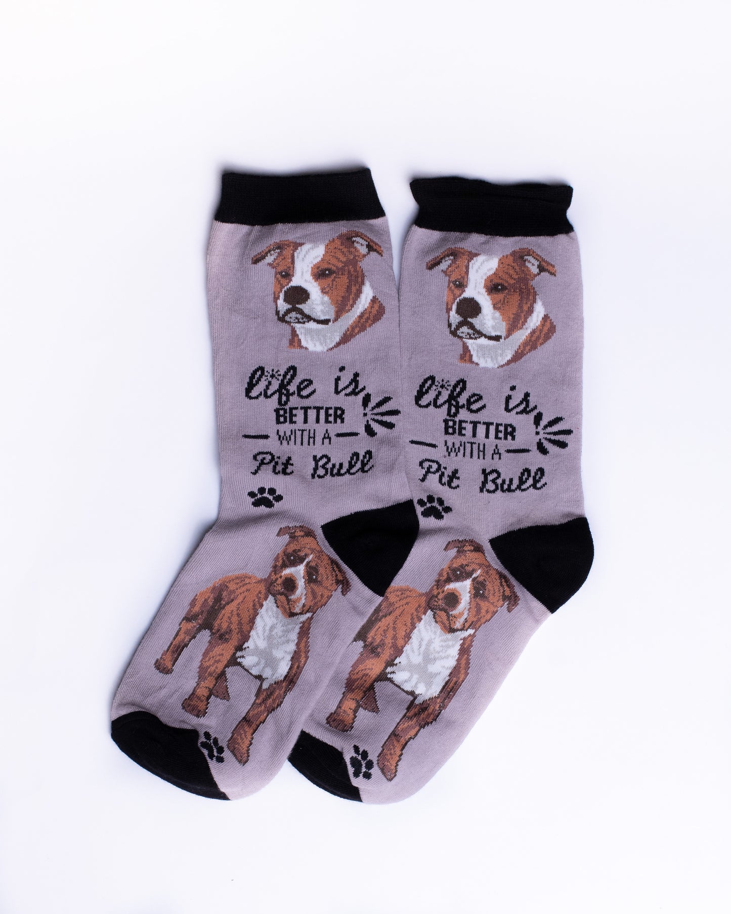 Pitbull Funky Socks SN126