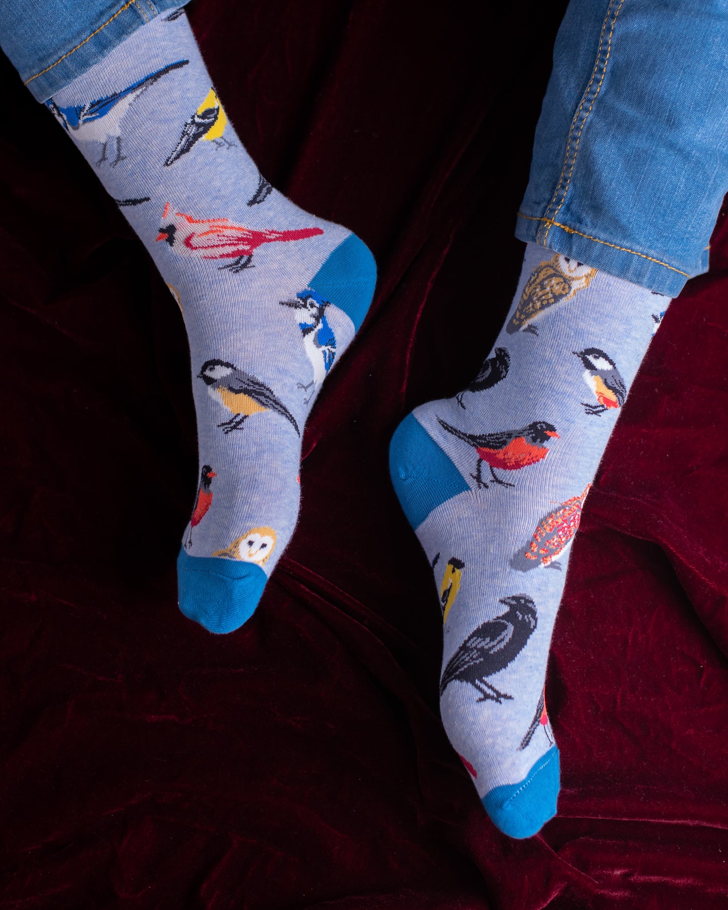 Birds Funky Socks SN135