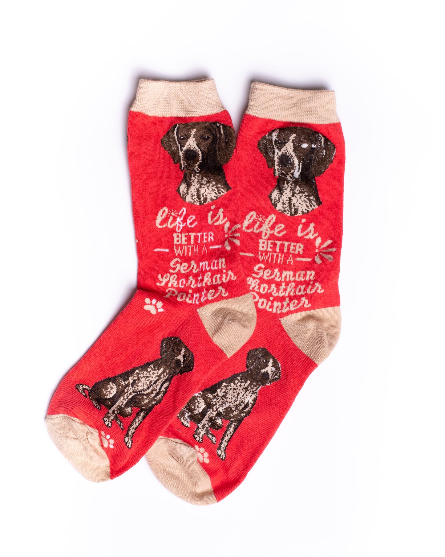 German Pointer Funky Socks SN151