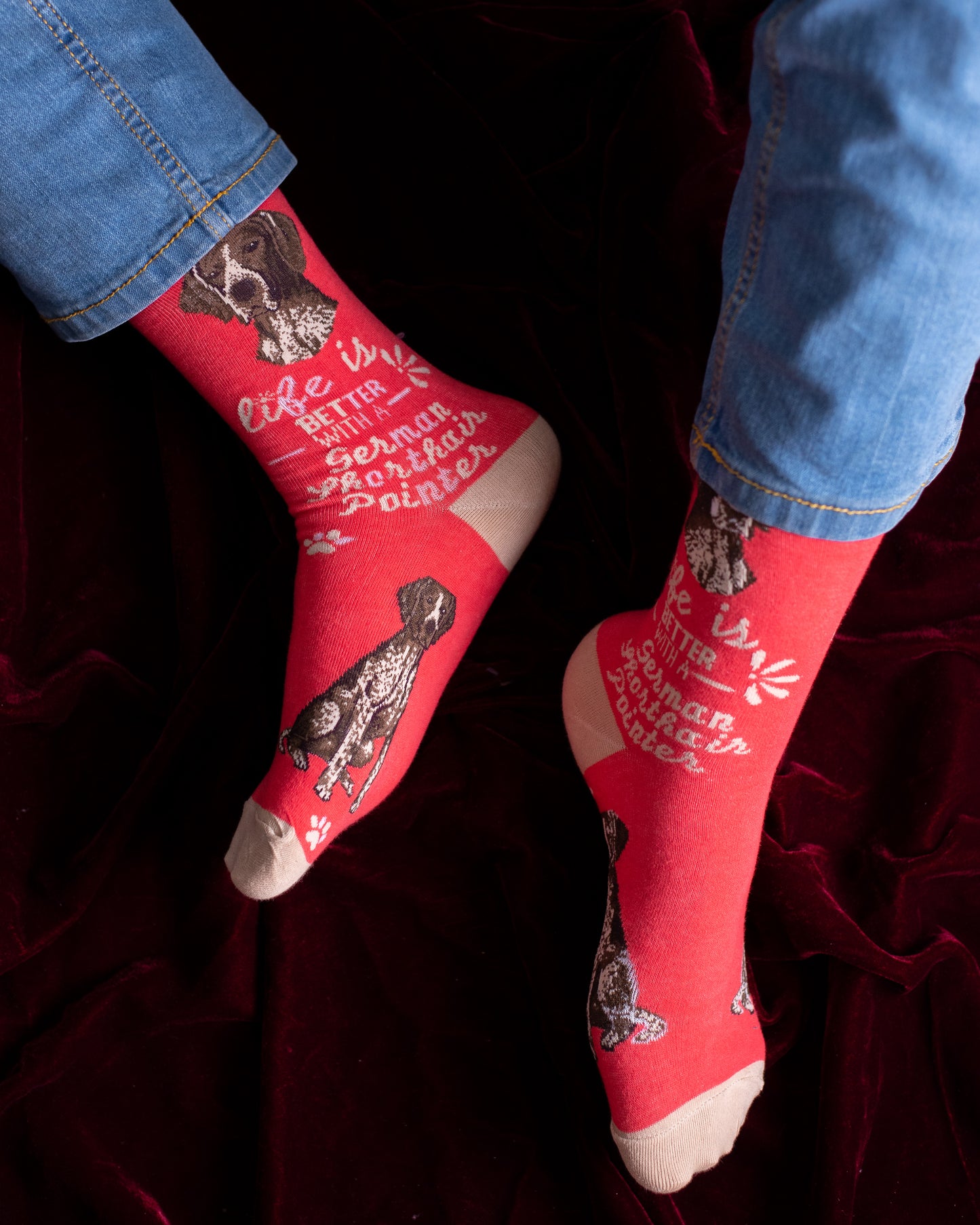 German Pointer Funky Socks SN151