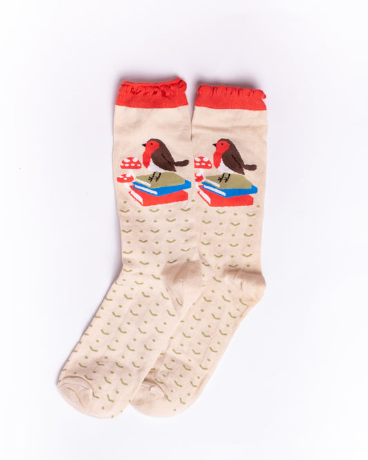 Bird Book Funky Socks SN169