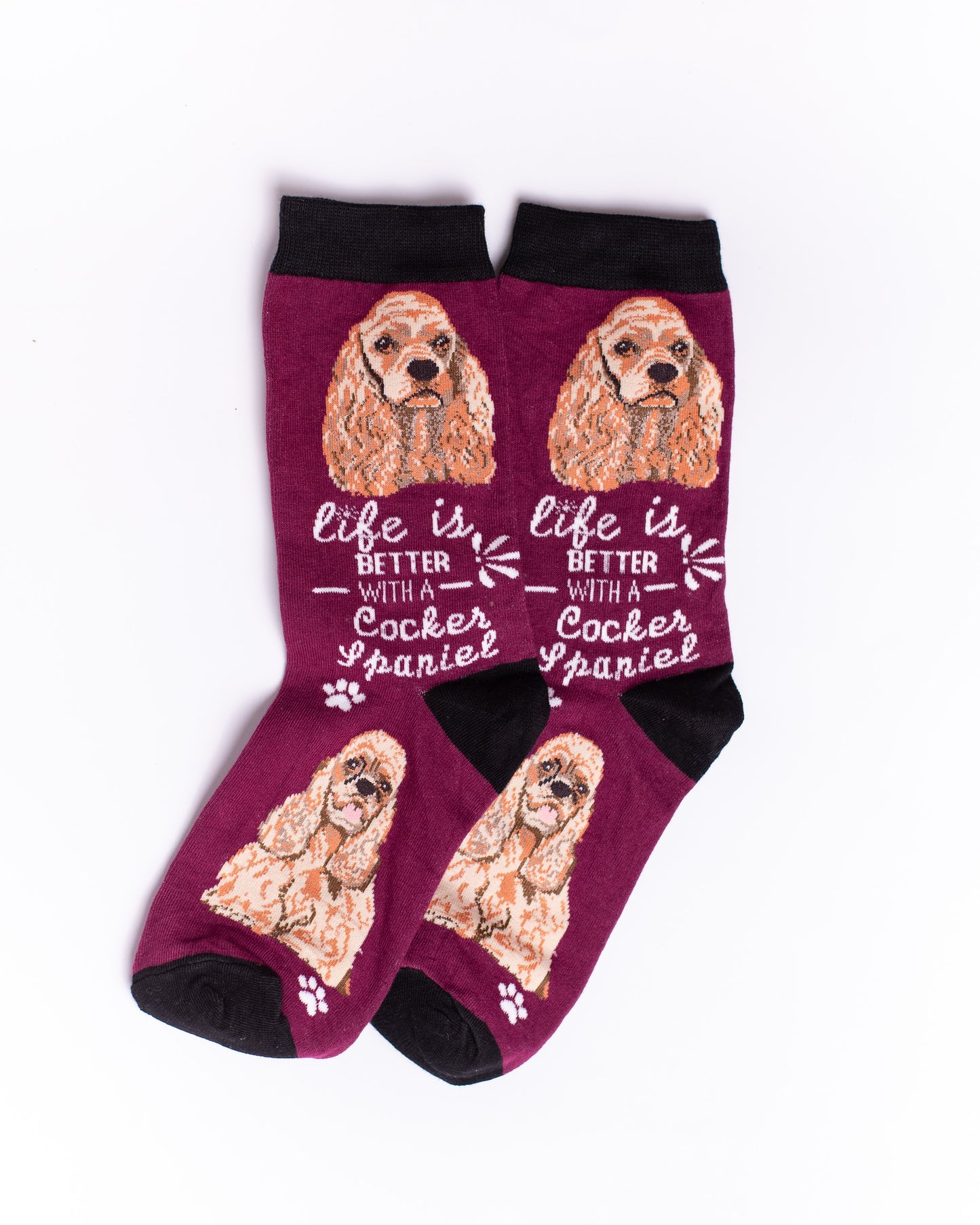 Maroon Dog Funky Socks SN170