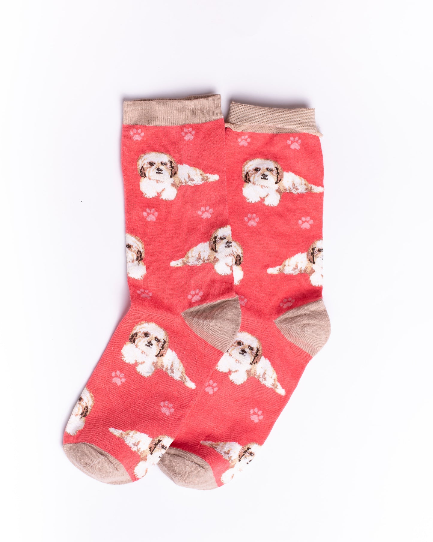 Ready Dog Funky Socks SN171