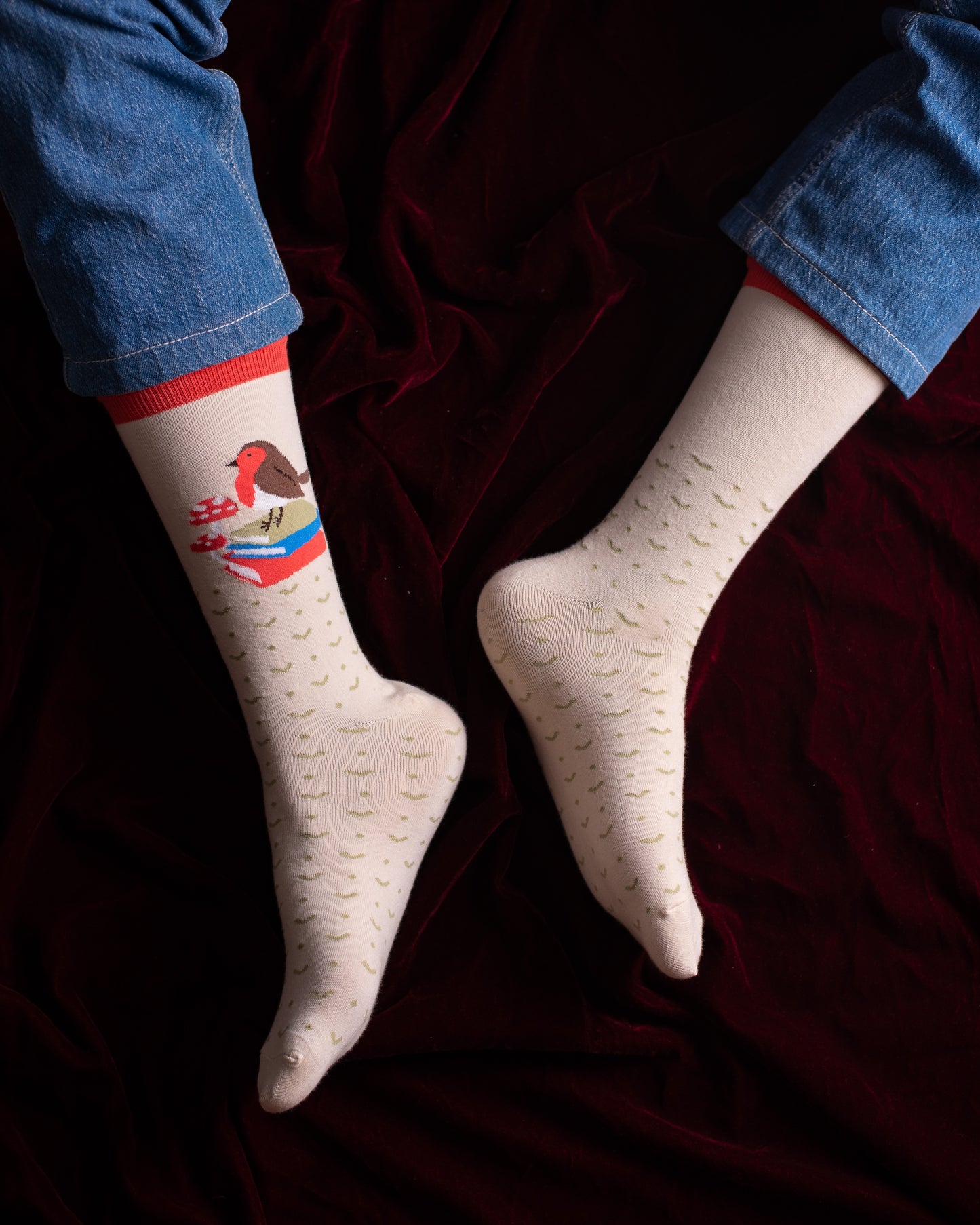 Bird Book Funky Socks SN169