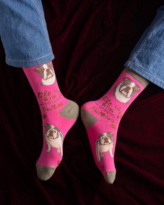 Bull Dog Funky Socks SN167