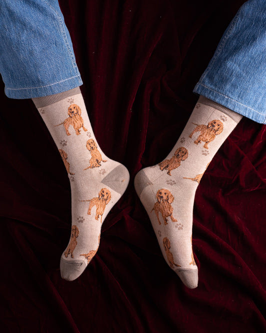 Brown Dog Funky Socks SN164