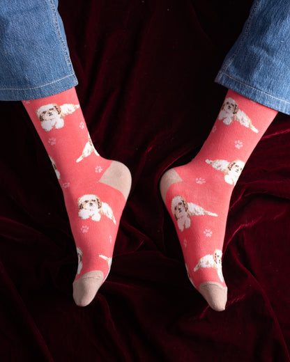 Ready Dog Funky Socks SN171