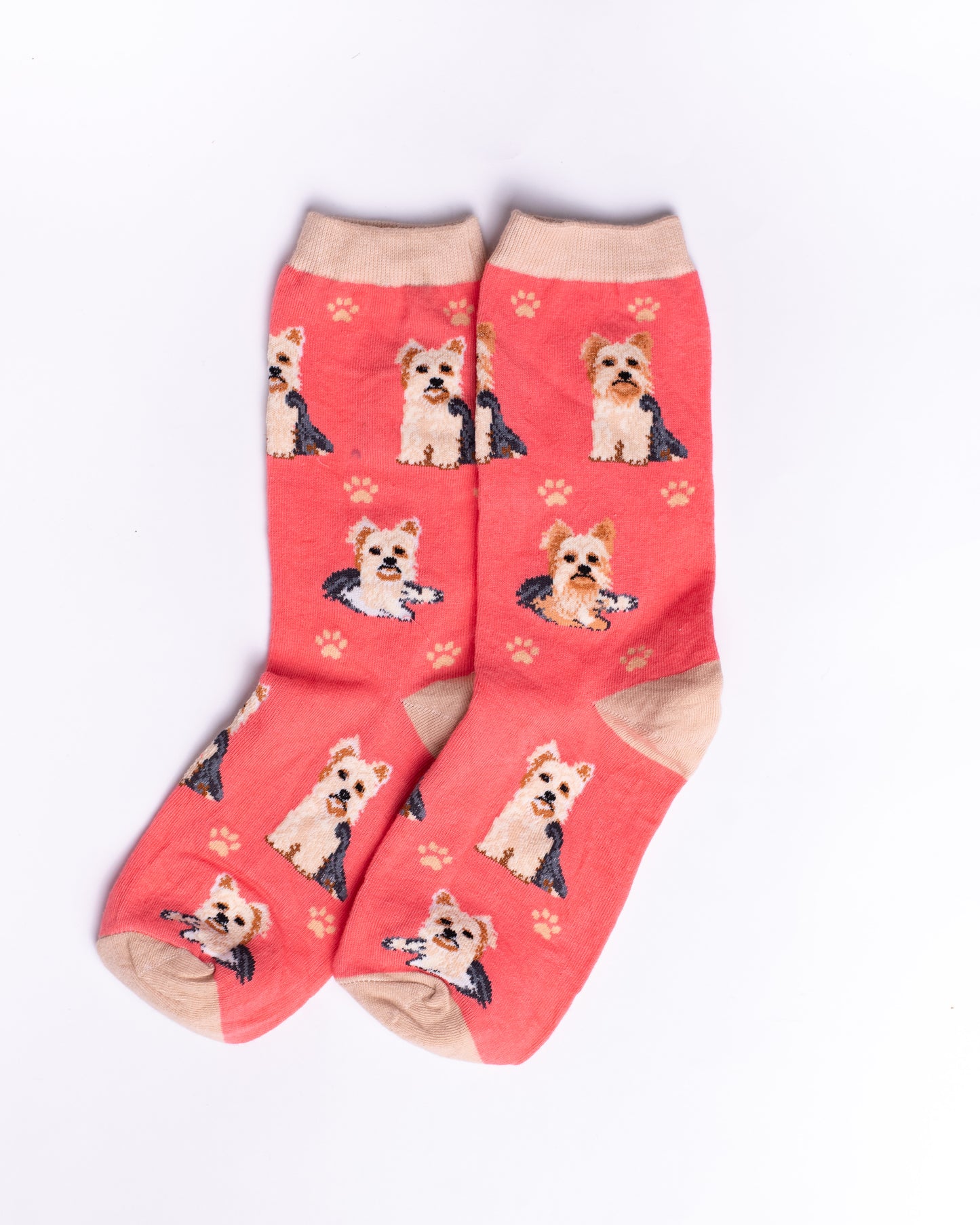 Lait Dog Funky Socks SN194