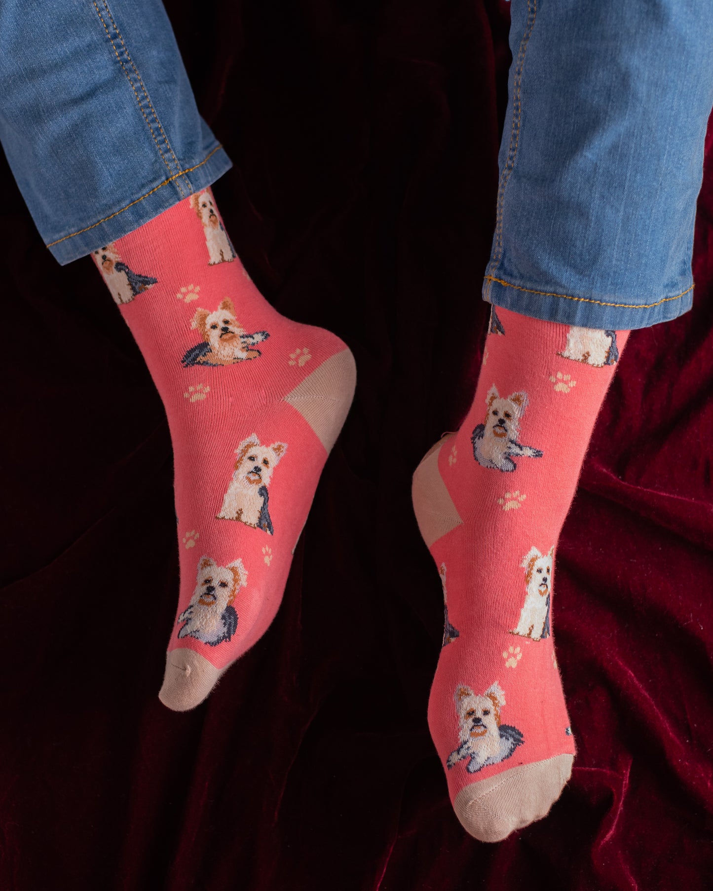 Lait Dog Funky Socks SN194