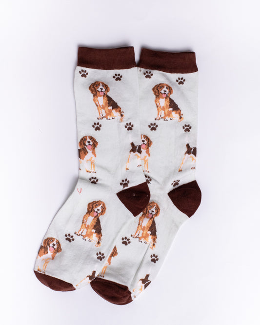 Lick Funky Socks SN205