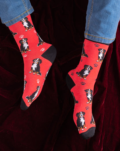 Redding Funky Socks SN207
