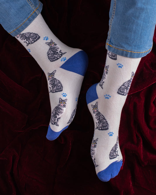 Catto Funky Socks SN201