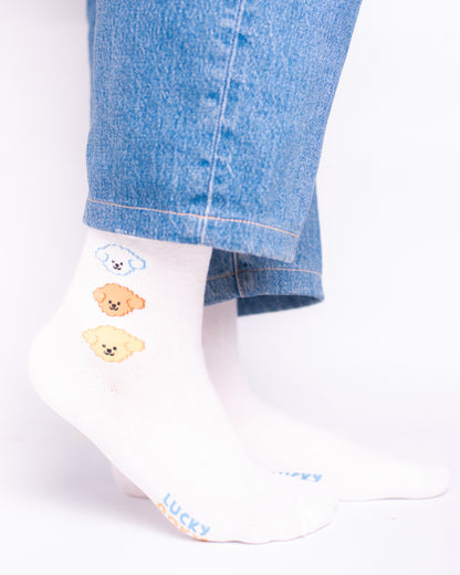 Rine Funky Socks SN267