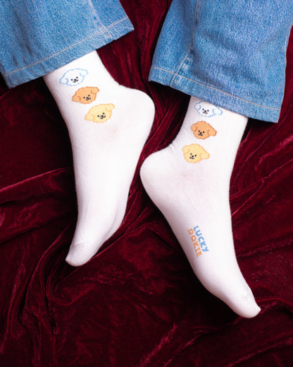 Rine Funky Socks SN267